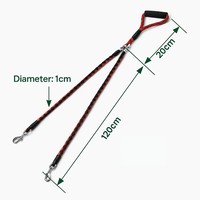 Double Leash — Walk Two Dogs, One Leash