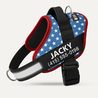 usa